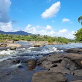 Paniyeli Poru Ernakulam 